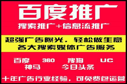 XX领域竞价广告的投放策略及效果展示